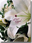 flower stickers 020s.jpg